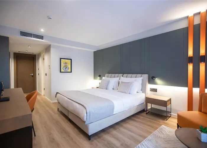 Elisa Affiliated By Melia Tirana